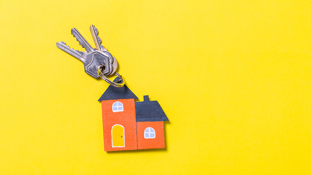 Immobilier